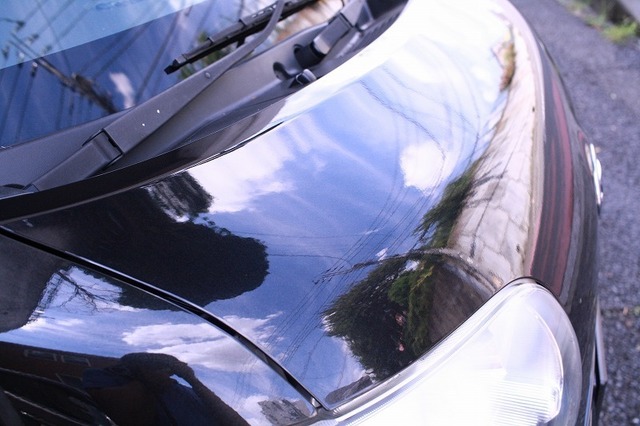 KissF-IMG_9527.jpg